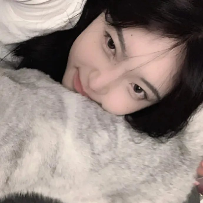 巴德美因霍夫