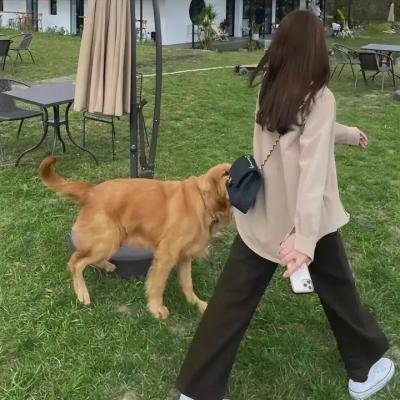 诡打墙