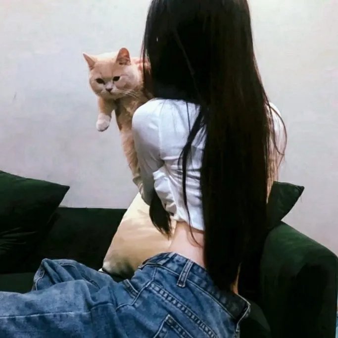 1600谋杀案